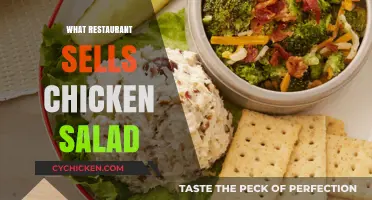Delicious Chicken Salad: A Restaurant Guide for Food Lovers