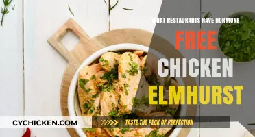 Hormone-Free Chicken in Elmhurst: Top Restaurants to Try Now