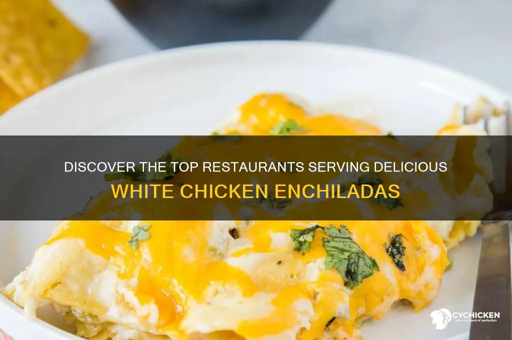 what restaurants have the best white chicken enchiladas
