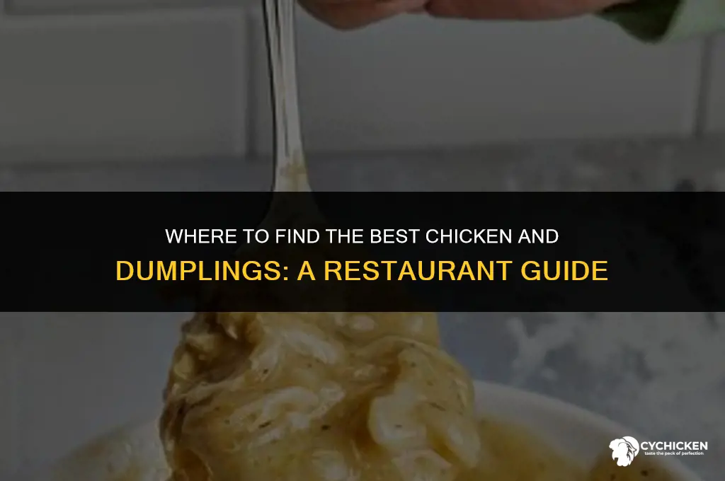 what restaurants sale chicken and dumplings