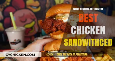 Discover the Ultimate Chicken Sandwich: Top Restaurant Picks