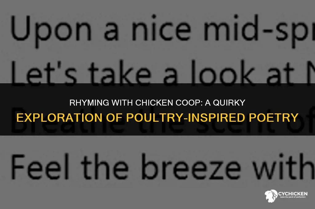 what rhymes with chicken coop