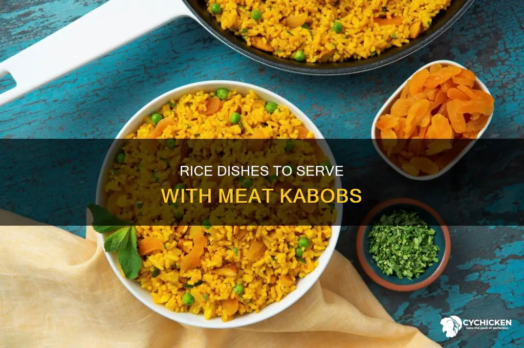 what rice dish goes with chicken kabobs and beef kabobs