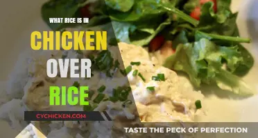 Unveiling the Perfect Rice for Chicken Over Rice: A Culinary Guide
