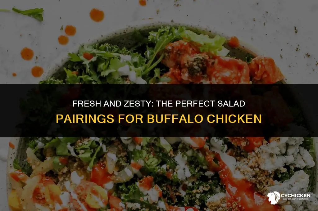 what salad goes well with buffalo chicken