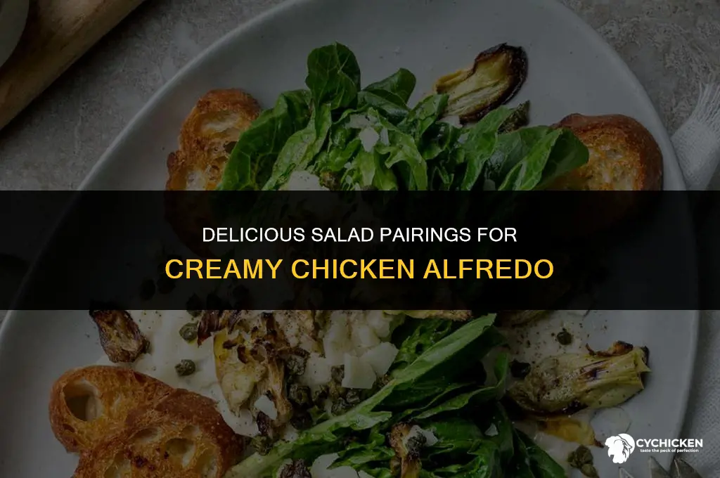 what salad goes with chicken alfredo