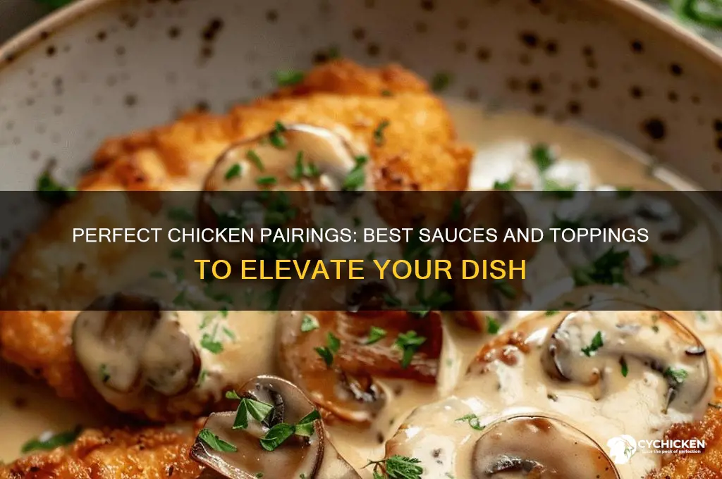 what sauce and topping with chicken