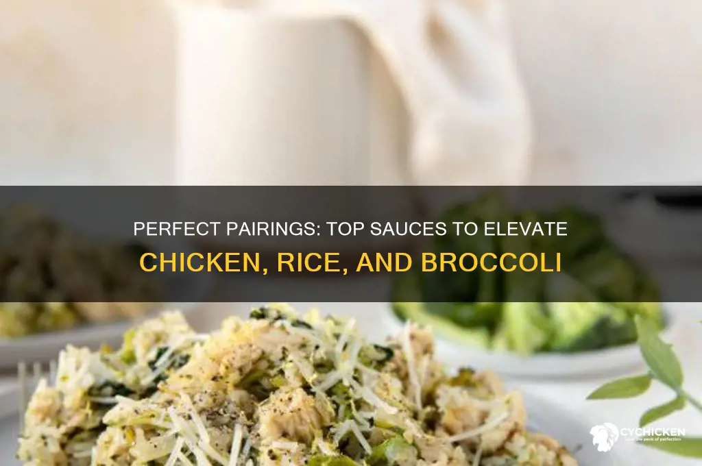 what sauce goes well with chicken rice and broccoli