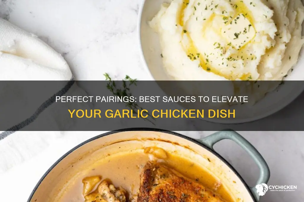 what sauce goes well with garlic chicken