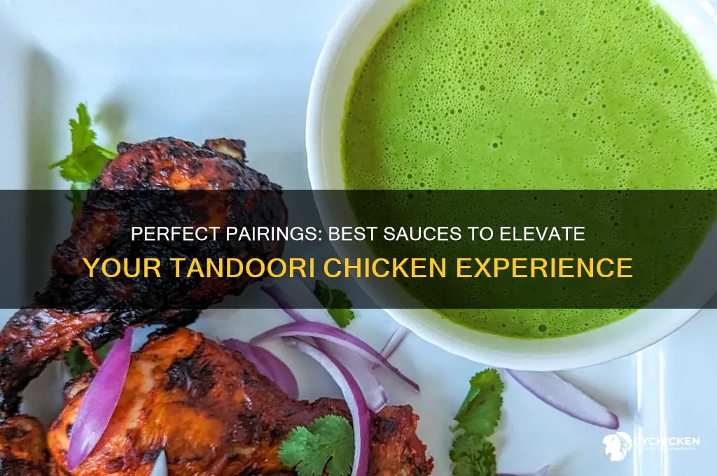 what sauce goes well with tandoori chicken