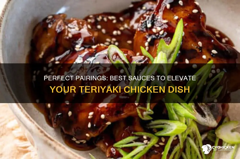 what sauce goes well with teriyaki chicken