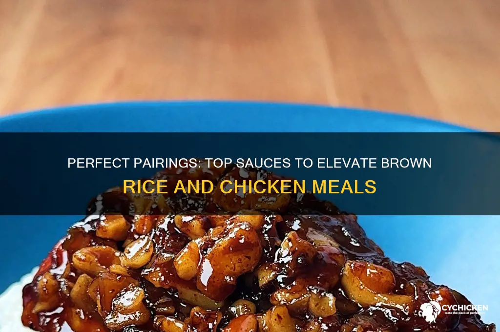 what sauce goes with brown rice and chicken