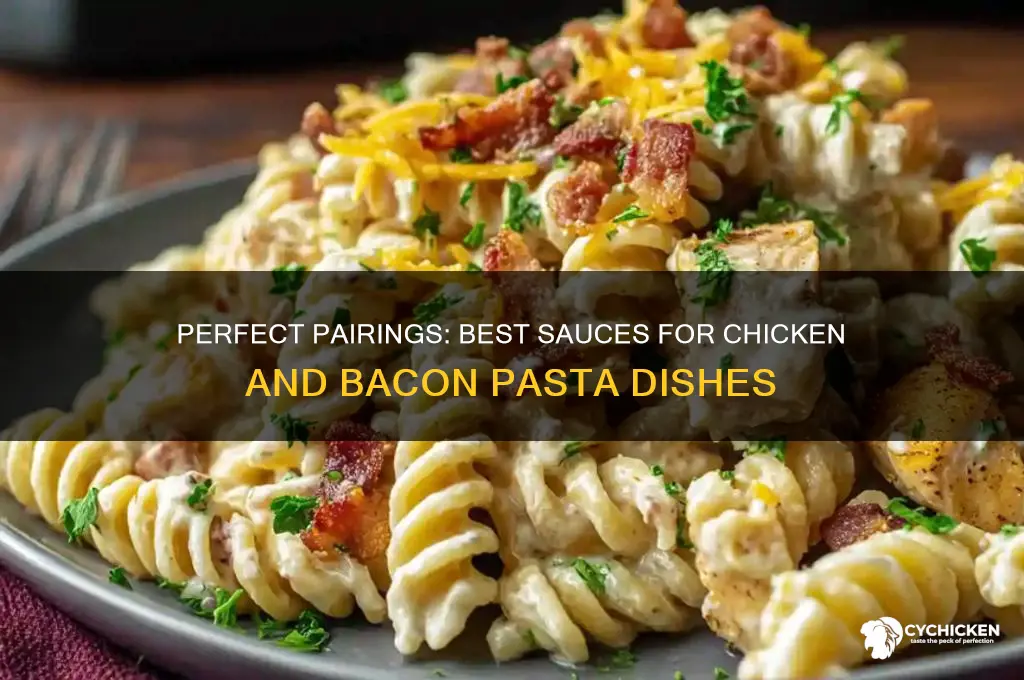 what sauce goes with chicken and bacon pasta
