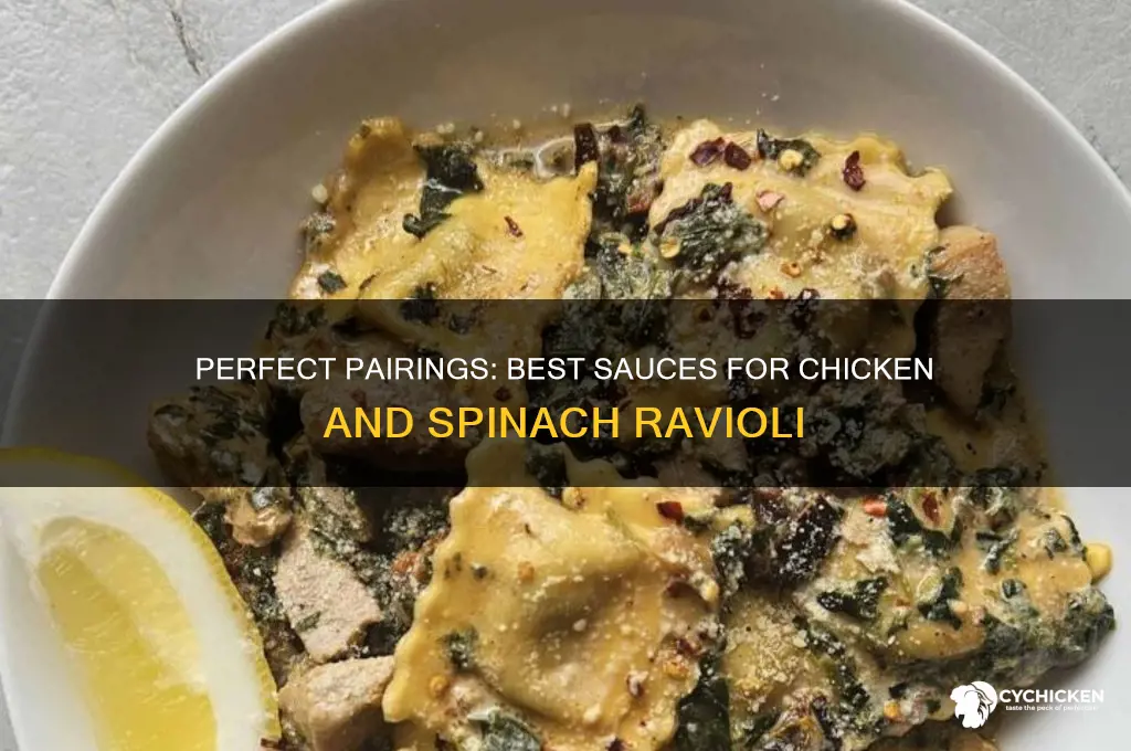 what sauce goes with chicken and spinach ravioli