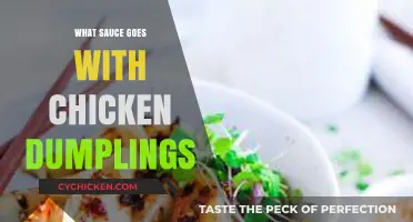 Perfect Pairings: Best Sauces to Elevate Your Chicken Dumplings