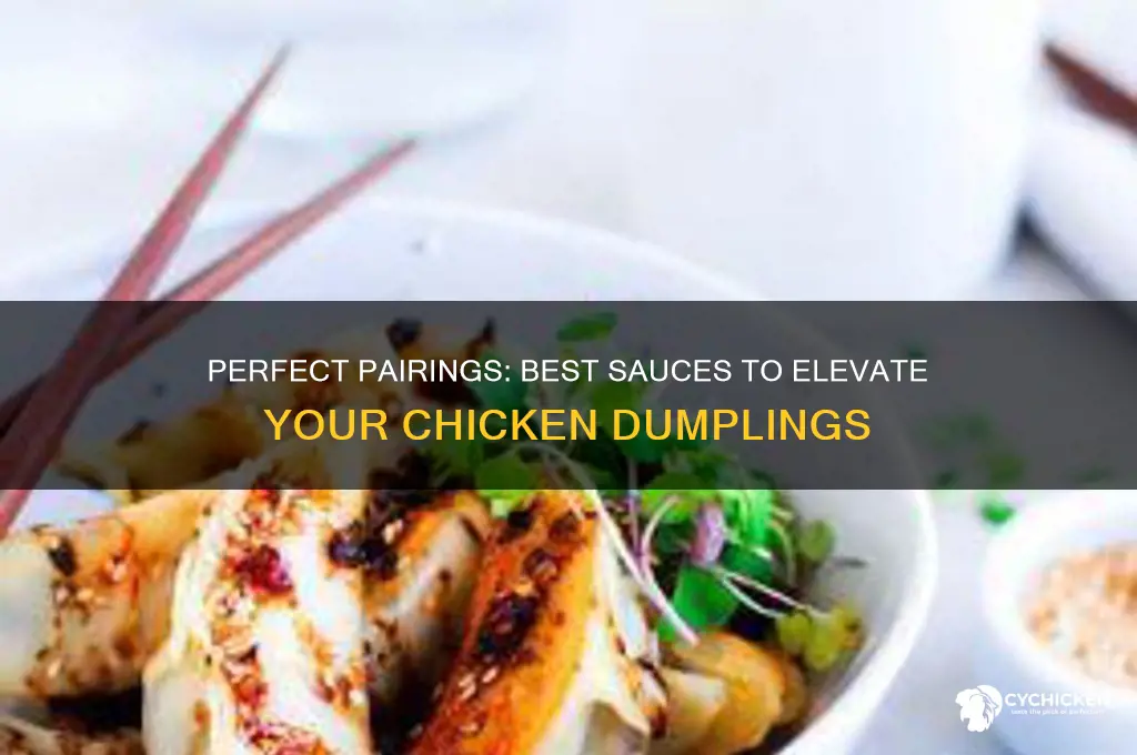 what sauce goes with chicken dumplings