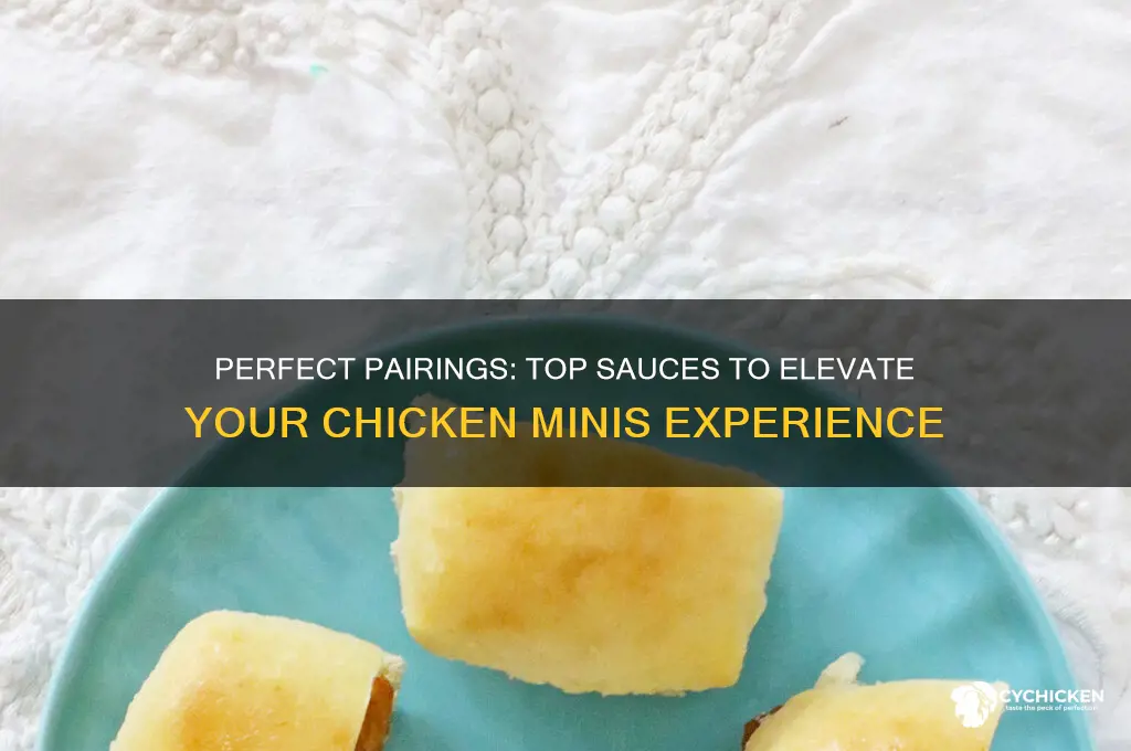 what sauce goes with chicken minis