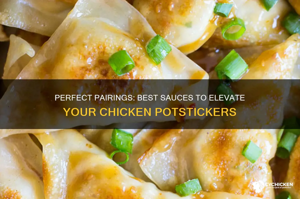 what sauce goes with chicken potstickers