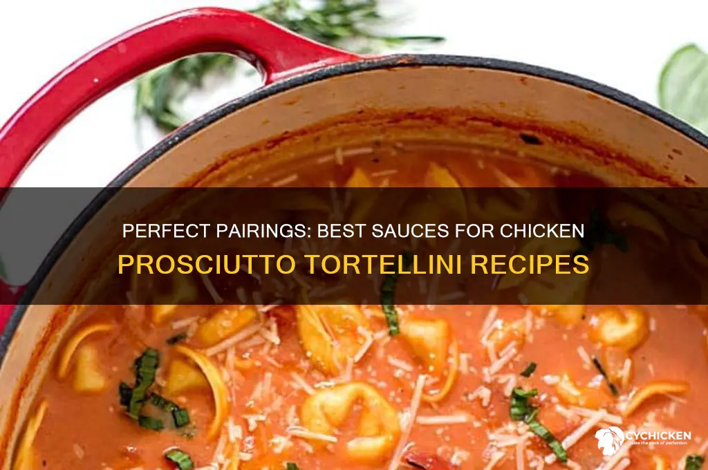 what sauce goes with chicken proscuitto tortellini
