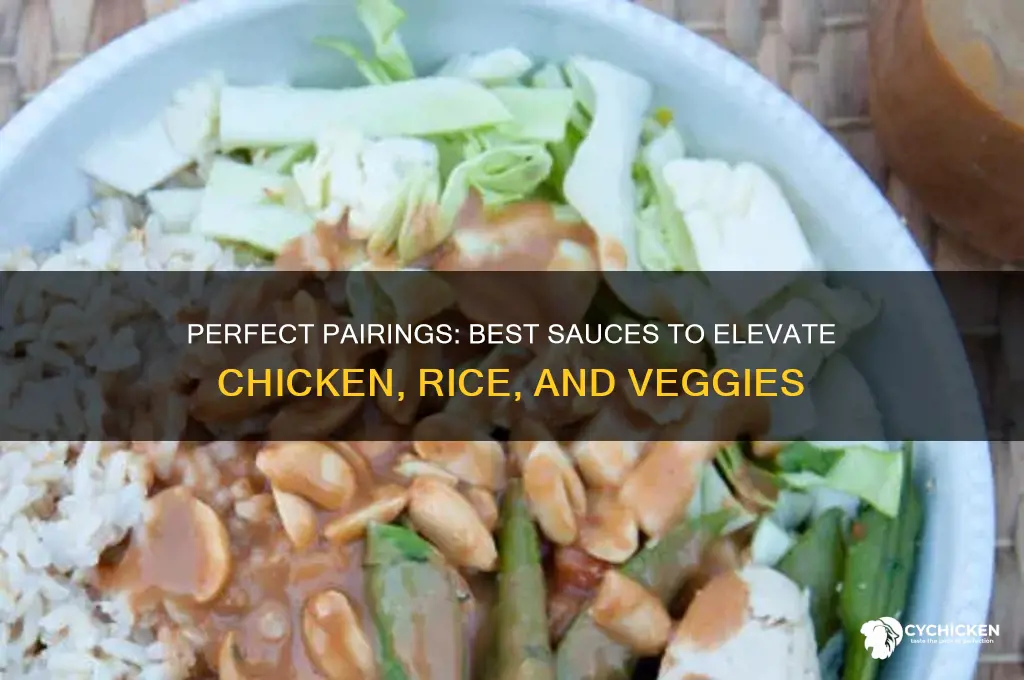 what sauce goes with chicken rice and veg