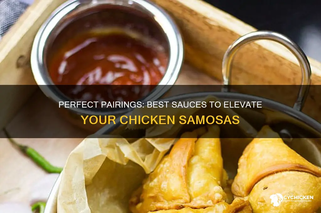 what sauce goes with chicken samosas