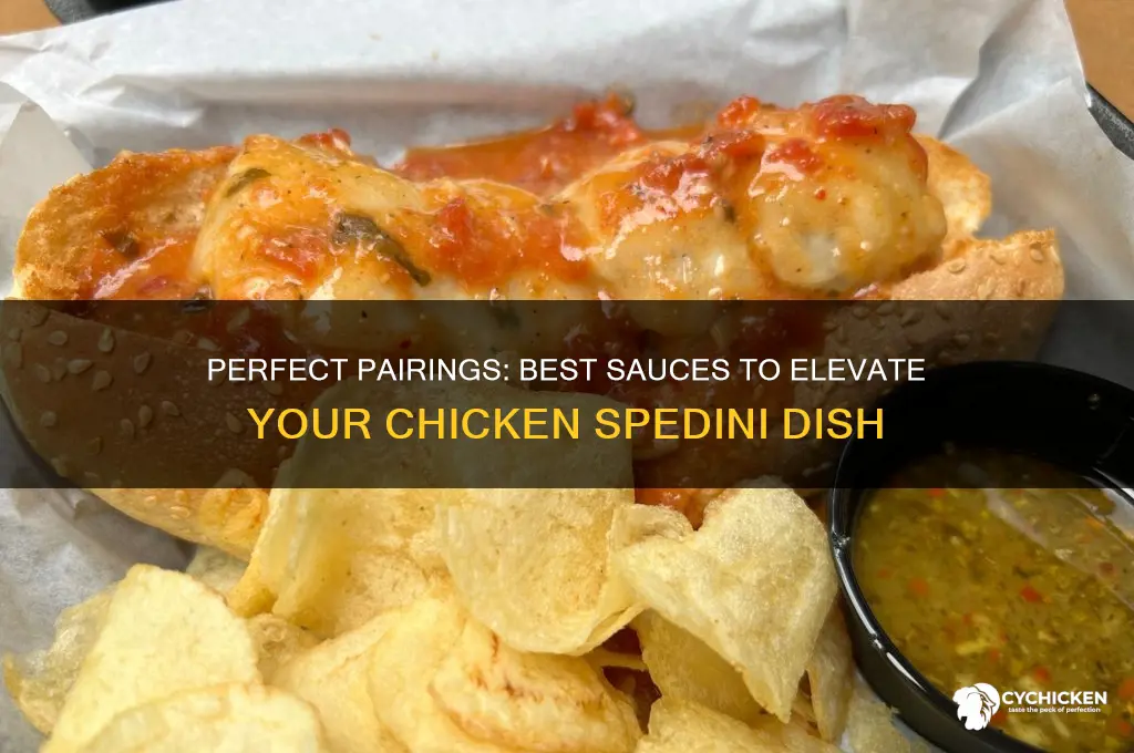 what sauce goes with chicken spedini