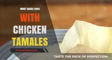 Perfect Pairings: Best Sauces to Elevate Your Chicken Tamales
