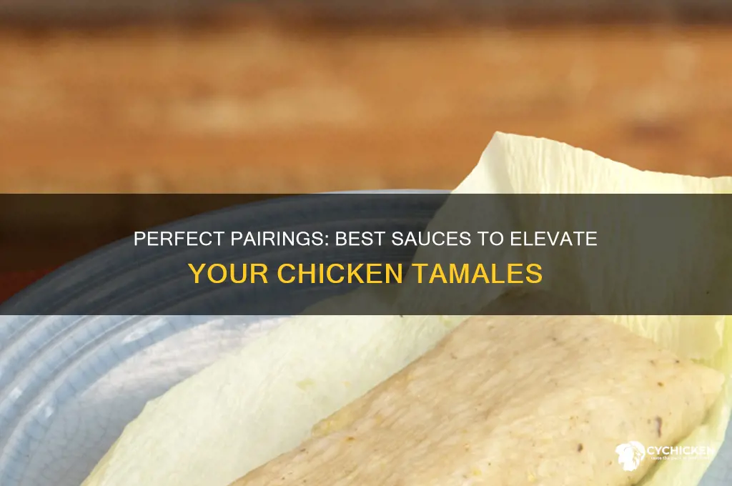 what sauce goes with chicken tamales