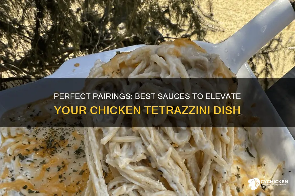 what sauce goes with chicken tetrazzini