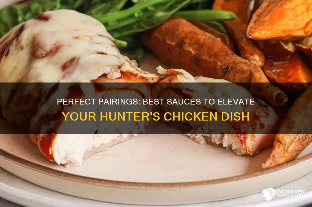 what sauce goes with hunters chicken