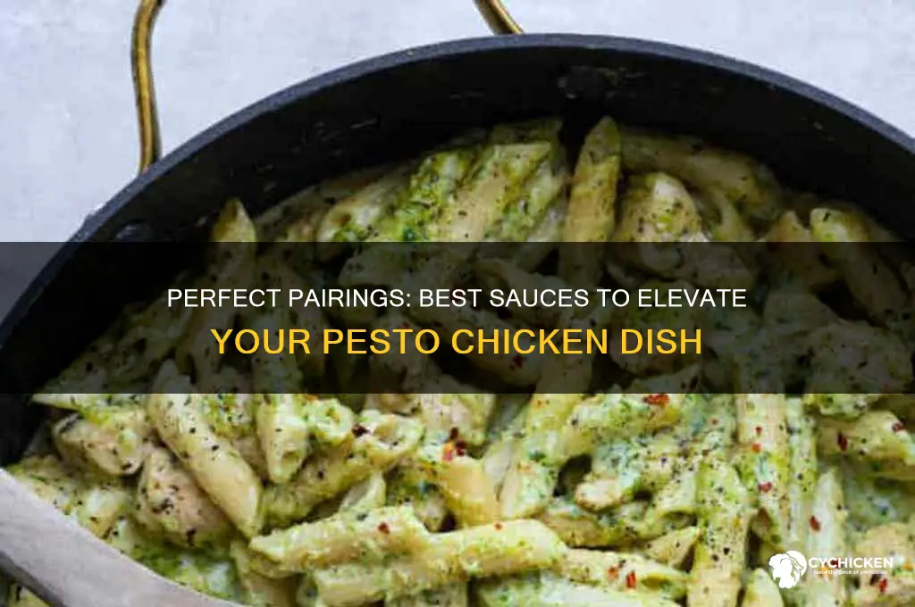 what sauce goes with pesto chicken