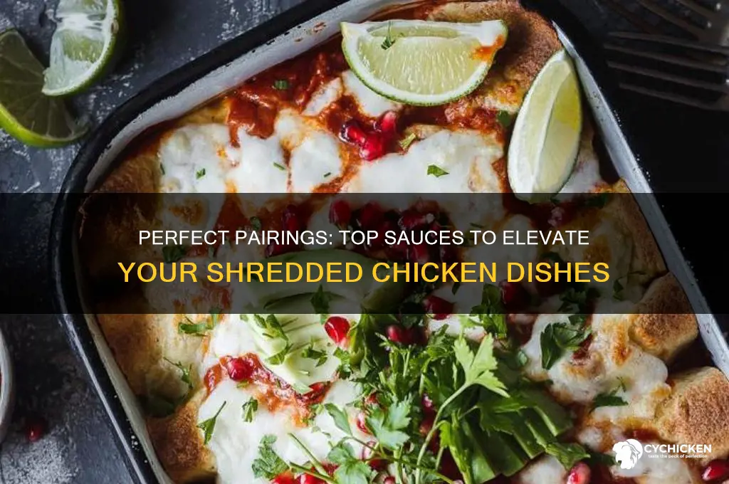 what sauce goes with shredded chicken