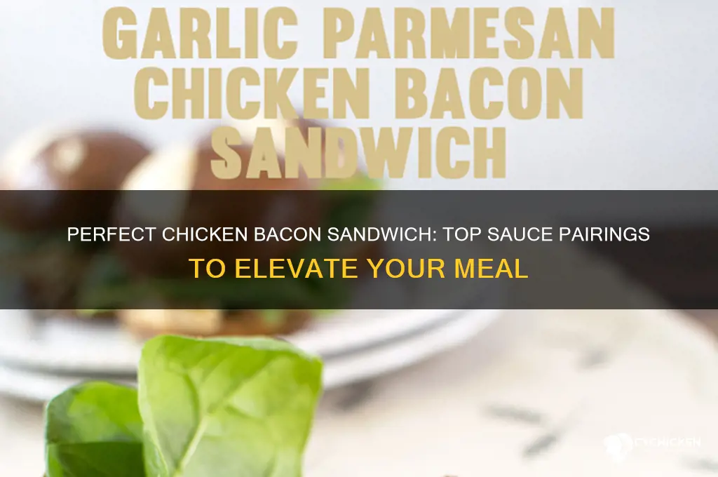 what sauce to put on chicken bacon sandwich