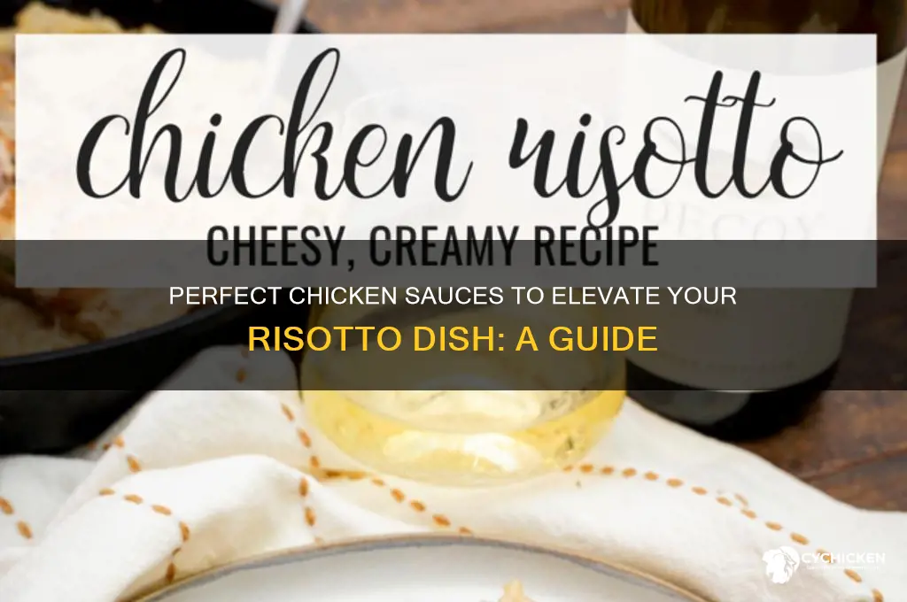 what sauce to put on chicken when served with risotto