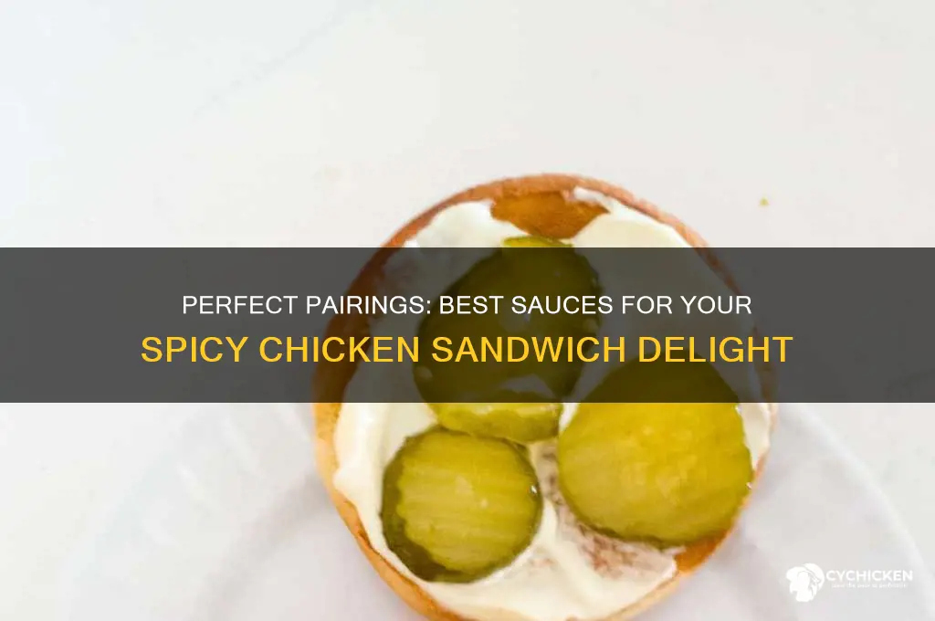 what sauce to put on spicy chicken sandwich