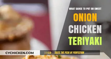 Perfect Pairings: Best Sauces for Sweet Onion Chicken Teriyaki Delight