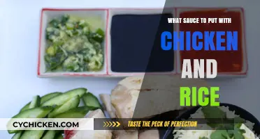 Perfect Pairings: Top Sauces to Elevate Your Chicken and Rice Dish