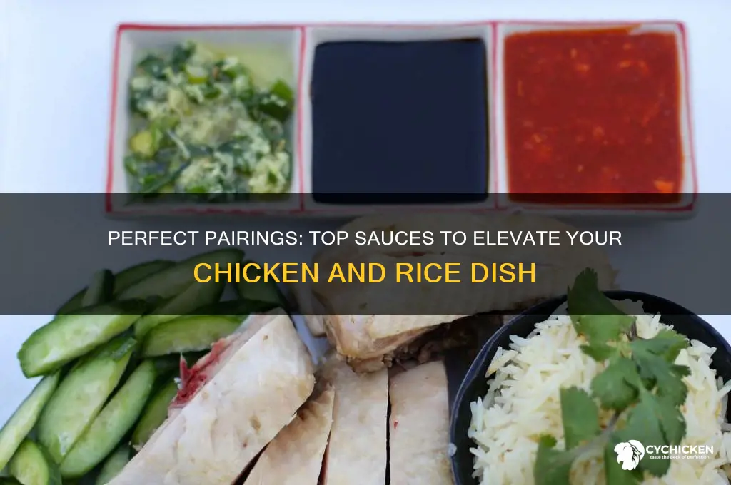 what sauce to put with chicken and rice