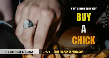 Joey's Chick Purchase: Unraveling the Season of the Hilarious Event