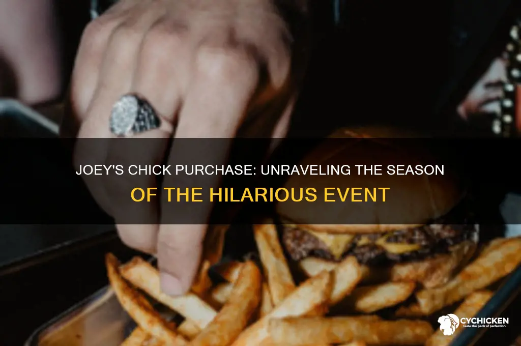 what season does joey buy a chick