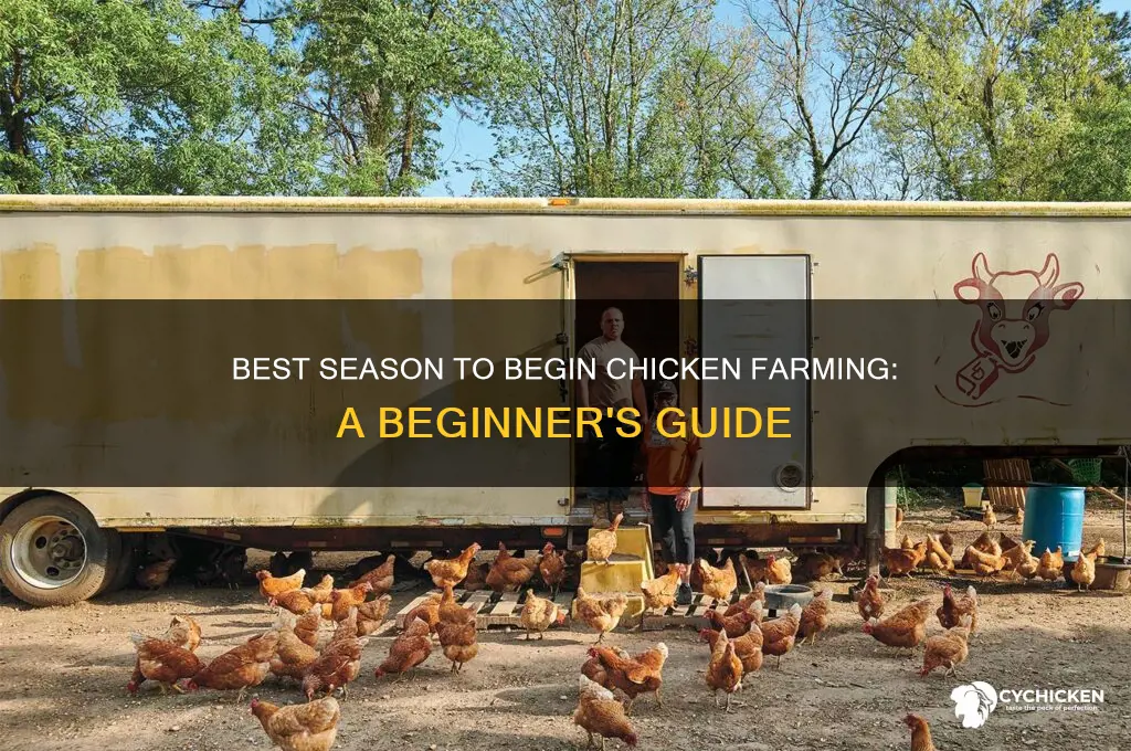 what season should i start chicken farming