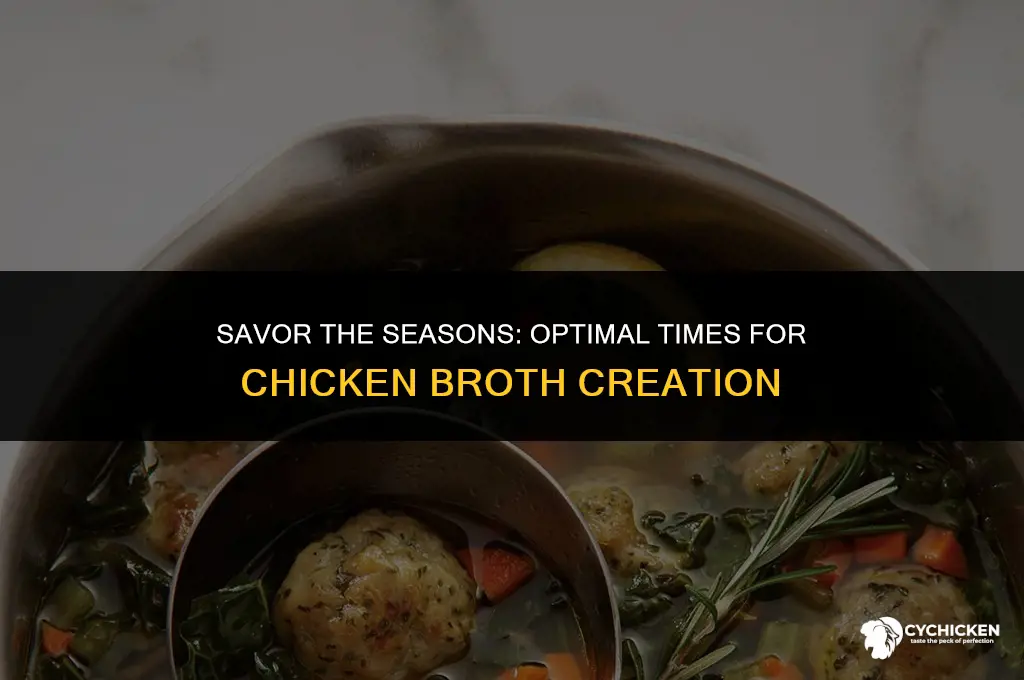 what season to put in chicken broth