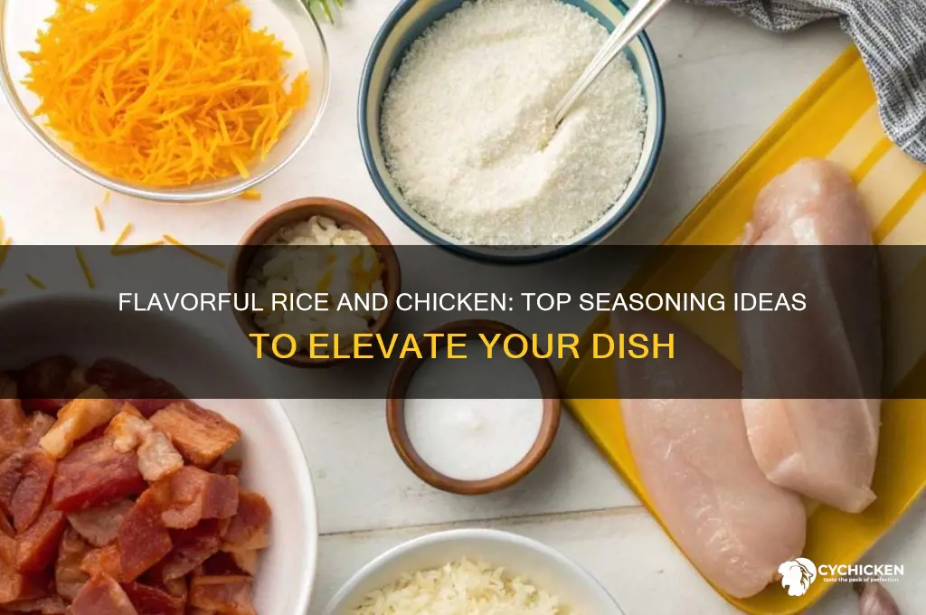 what seasoning add to rice and chicken