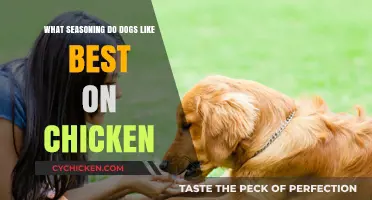 Top Dog-Approved Chicken Seasonings: Safe and Tasty Flavor Ideas