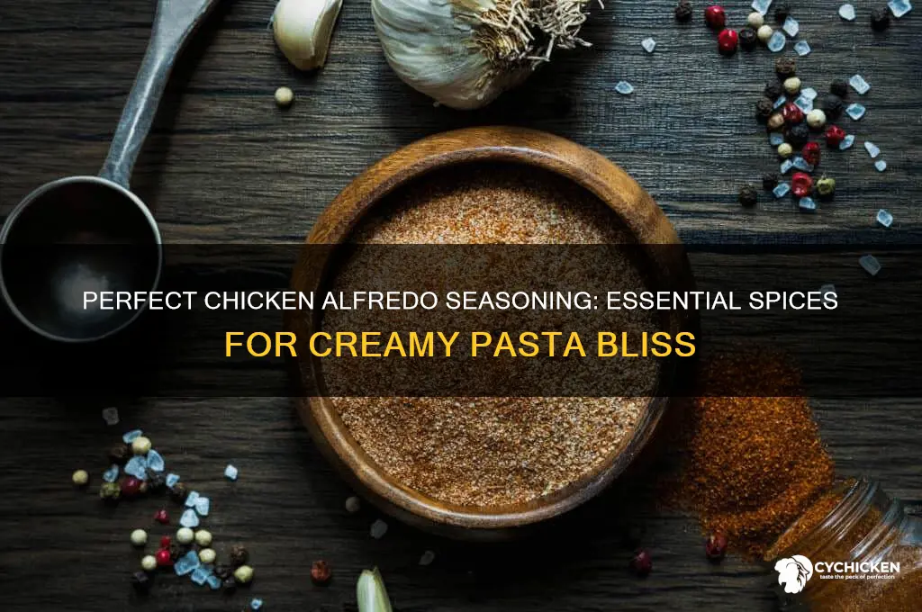 what seasoning do u put in chicken alfredo
