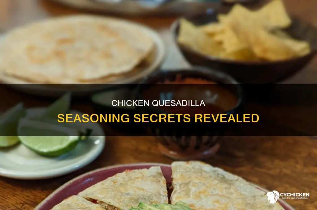 what seasoning do you put on chicken for quesadilla