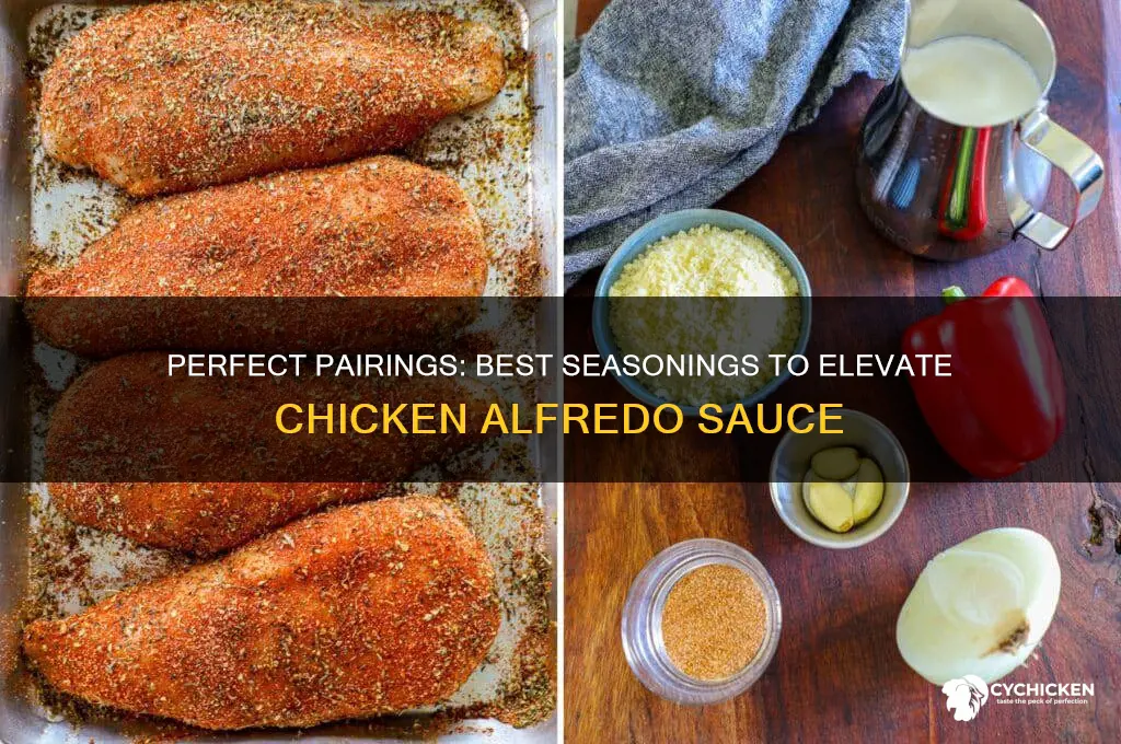 what seasoning go with chicken and alfredo sauce