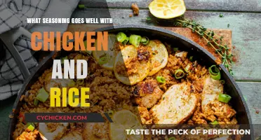 Perfect Pairings: Best Seasonings to Elevate Chicken and Rice Dishes