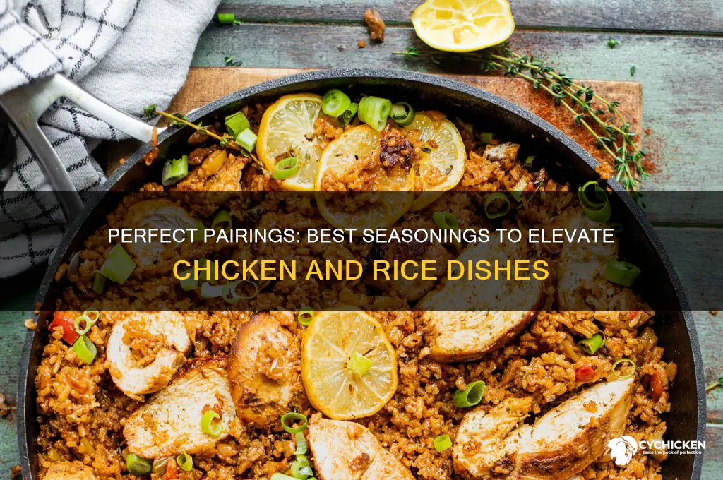what seasoning goes well with chicken and rice