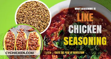 Discover Seasonings Similar to Chicken Seasoning for Flavorful Dishes